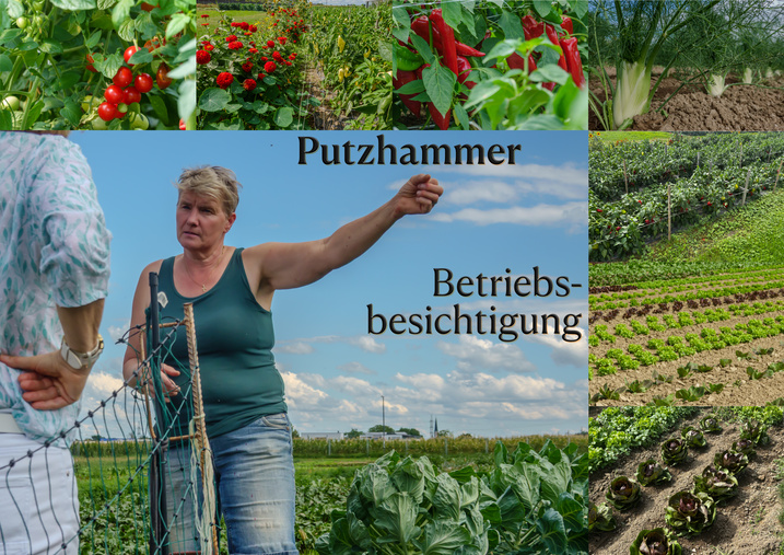PutzhStart.jpg